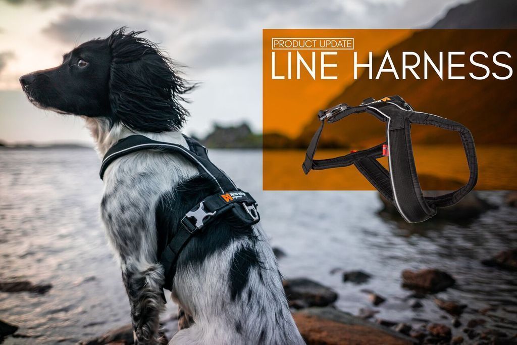 Non-stop dogwear Ramble Harness | oranje | geleiding en dagelijks servies, maat: L Non-stop dogwear Ramble Harness | oranje | geleiding en dagelijks servies, maat: L