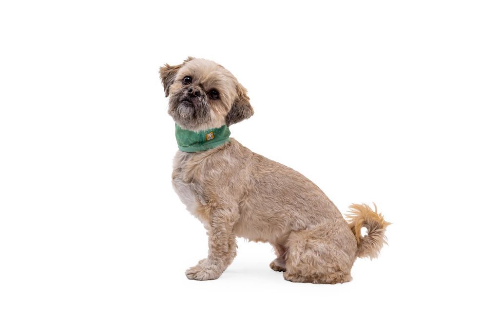 Ruffwear Swamp Cooler Kühlhalsband ab 15,99 € | Preisvergleich bei